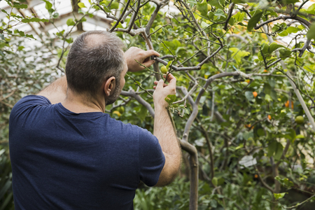 Slika je simbolična (v: Freepik)