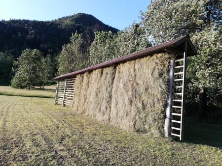 IMG_20200622_194654-scaled