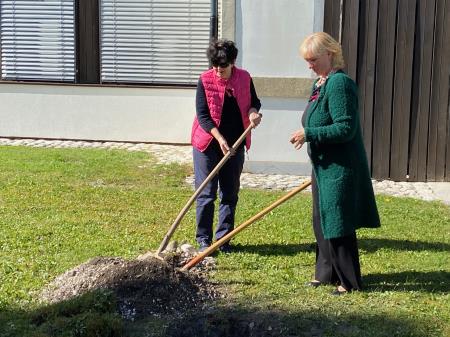 Posaditev rožnatega drevesa - ga. Rina Klinar, podpredsednica Europa Donna Slovenija in ga. Henrika Zupan, županja Občine Kr. Gora