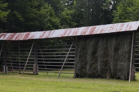 Sušenje krme v kozolcih