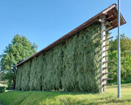 Sušenje krme v kozolcih