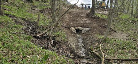 Sanacije plazu nad pešpotjo Topolino – Hrušica